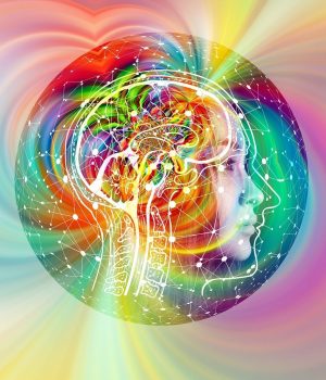 Intuitive Decision Intuitive Decision